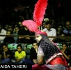 گزارش تصویری  گروه تعزیه جوانان بنی هاشم در گچساران