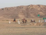 آئین بازسازی واقعه غدیرخم در گچساران برگزار شد 8