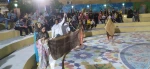 آغاز هشتمین جشنواره آئین های نمایشی رضوی در کهگیلویه‌وبویراحمد 3