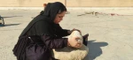 دو نمایش از کهگیلویه و بویراحمد به دبیرخانه چهل و دومین جشنواره تئاتر فجر معرفی شد 5